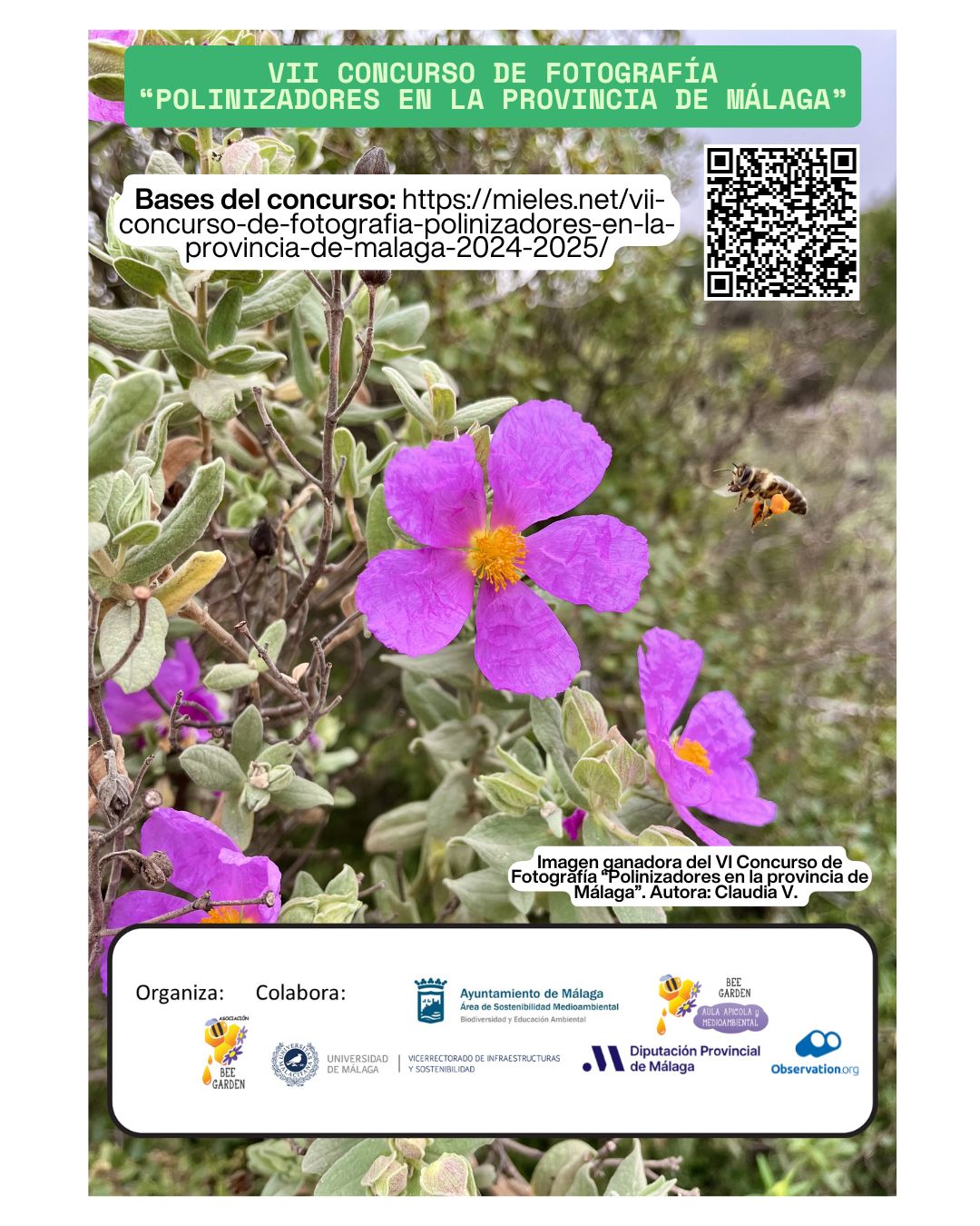 VII CONCURSO DE FOTOGRAFÍA “POLINIZADORES EN LA PROVINCIA DE MÁLAGA”
