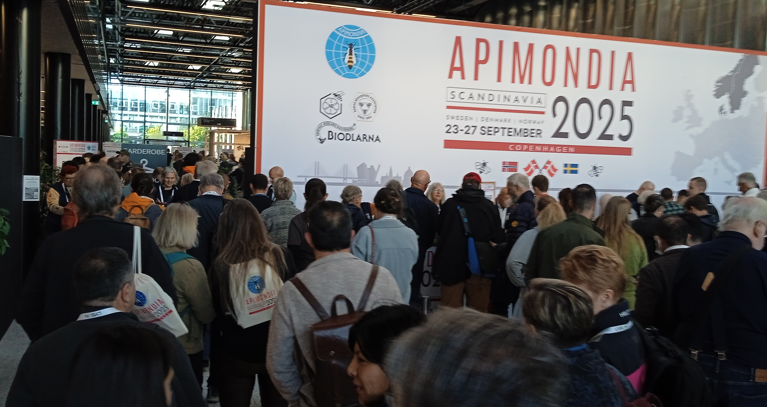 Congreso Apimondia 2025