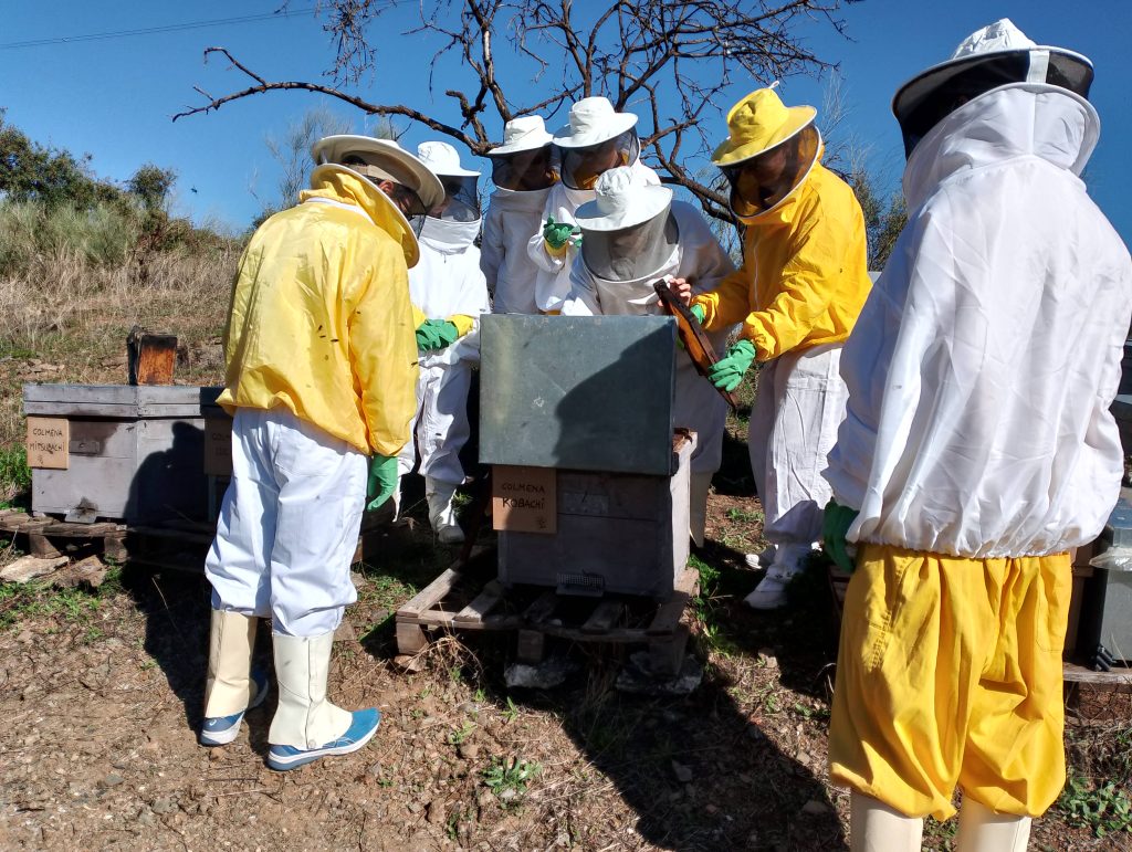 Adopta una colmena con Bee Garden Málaga