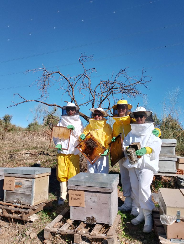 Adopta una colmena con Bee Garden Málaga