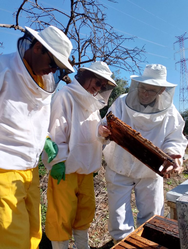 Adopta una colmena con Bee Garden Málaga