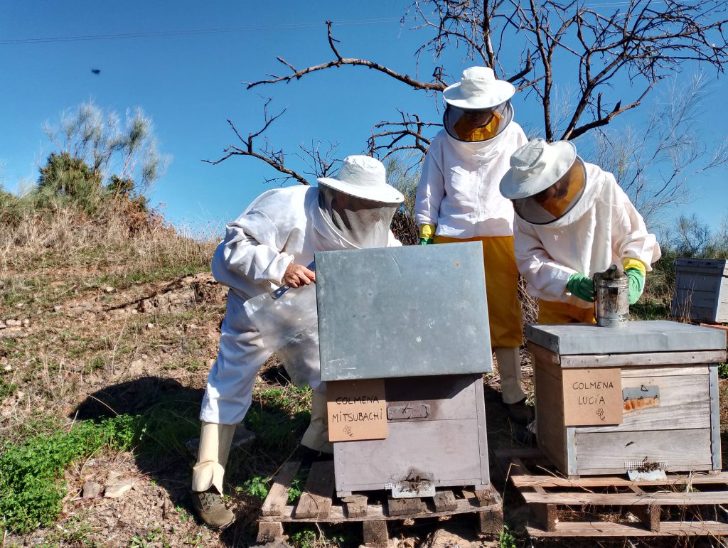 Adopta una colmena con Bee Garden Málaga
