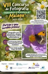 Cartel concurso fotografía