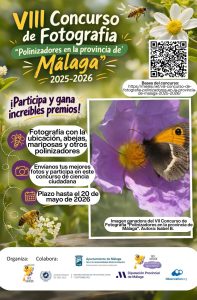 Cartel concurso fotografía