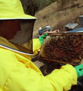 Velas artesanales de cera de abejas - Mieles de Málaga - Bee Garden