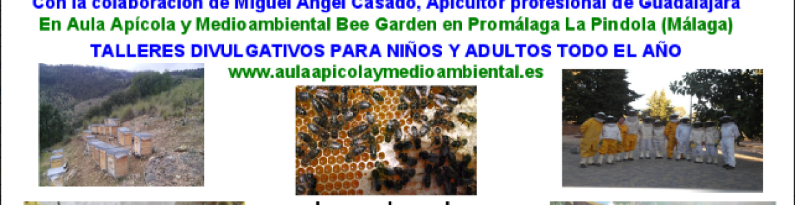 Cursos Apicultura  y Cría de Reinas Bee Garden  Málaga 2017