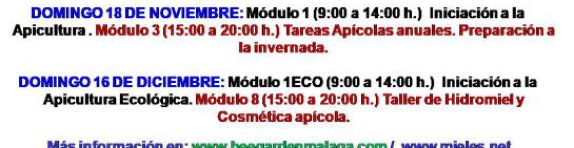 cartel-4t-2018-oct-dic-curso-def-jpg