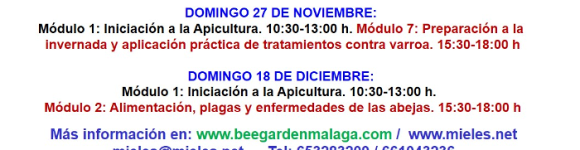 cursos-de-apicultura-bee-garden-malaga-otono-2022