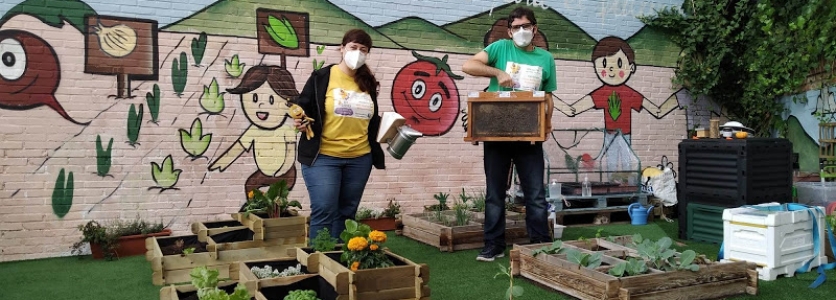 Las abejas y los huertos educativos Bee Garden