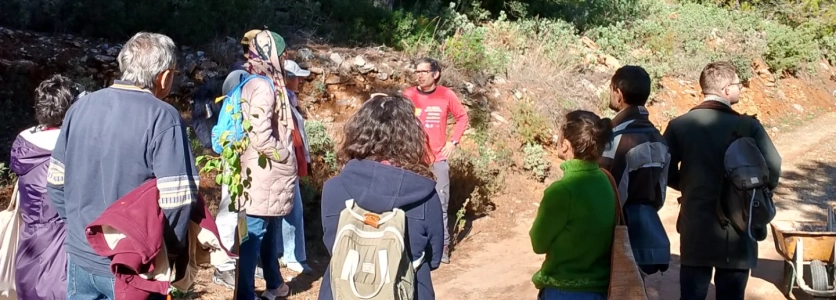 Formación apícola y agroecológica en la Sierra de las Nieves – Día Mundial del no uso de Plaguicidas