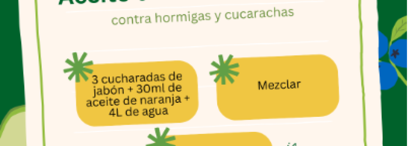 Prácticas de empresa-Control de plagas casero y ecológico