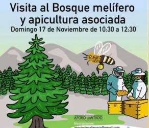 Visita al Bosque melífero y apicultura asociada Bee Garden